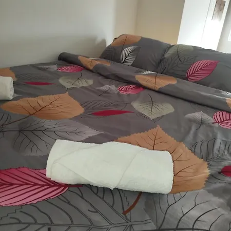 Cozy With Free Parking